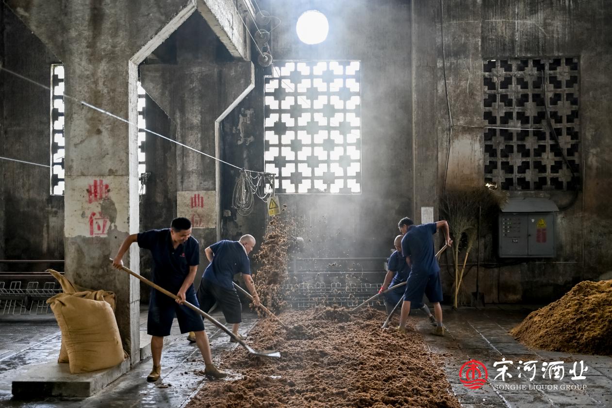 DSC_5035_wm__15653832