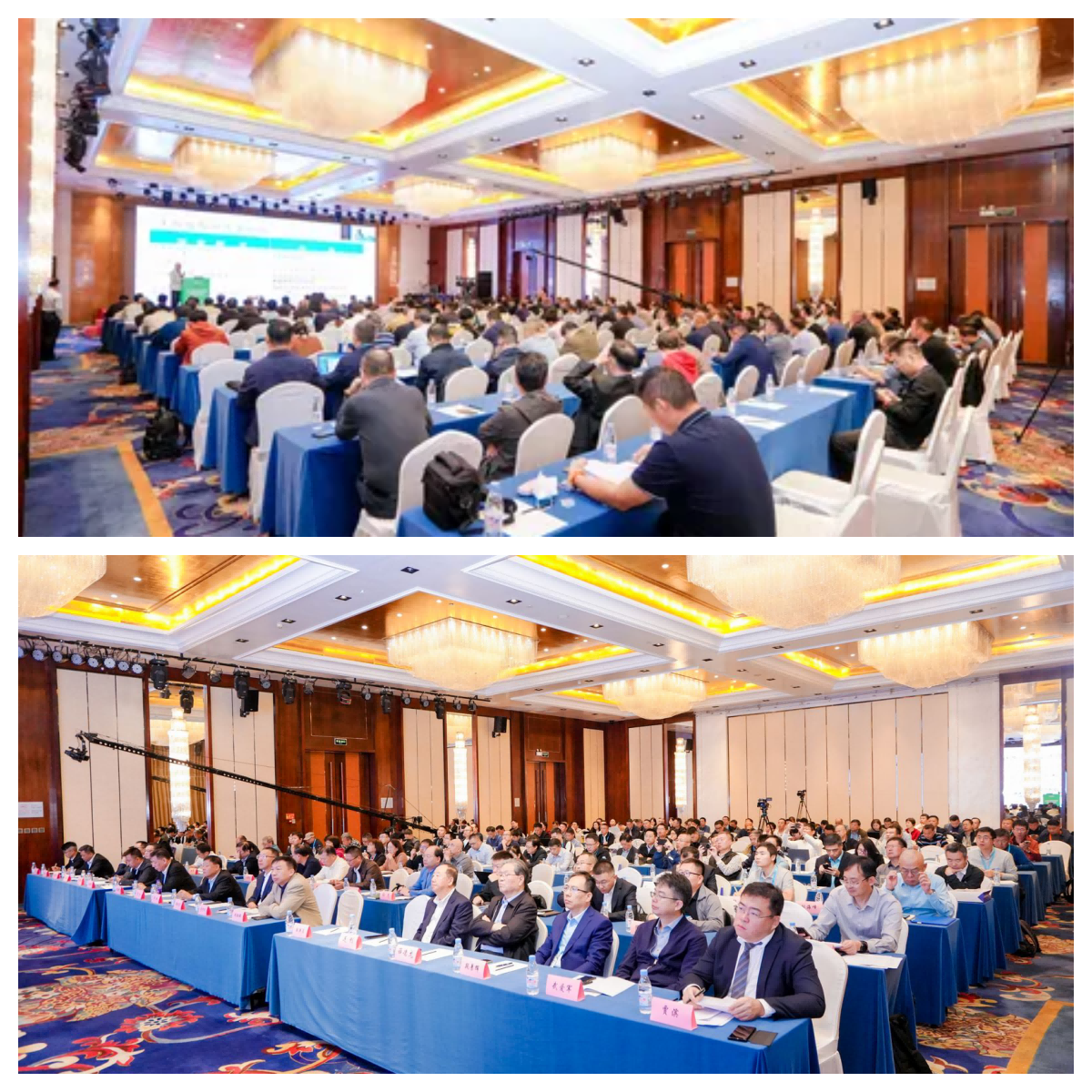 /private/var/folders/d7/vm9gh_t91378_4fgd2_0ddg00000gn/T/com.kingsoft.wpsoffice.mac/picturecompress_20241011114202/output_1.pngoutput_1