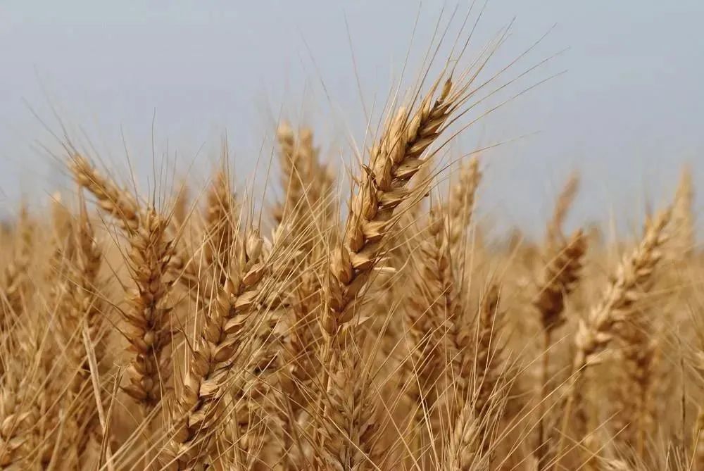 fa2d701bc1e076d16e86d1798413d000