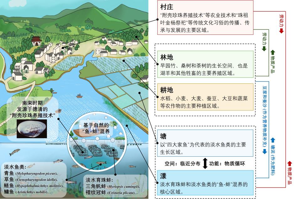 c6dbf95c0539c695f70c544b1e2800a