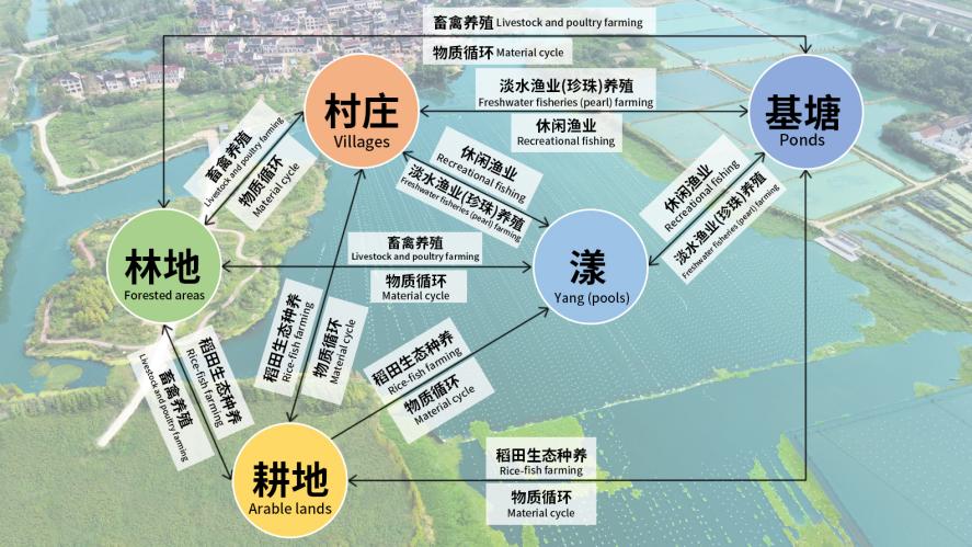 bc882423c67524511542a24bbf1c386