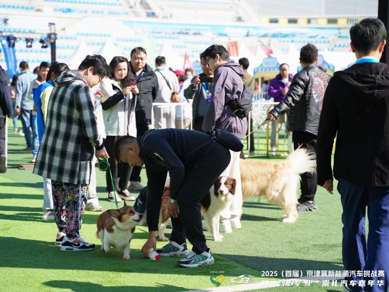 212657a7926739f8728ce1236a2cc31