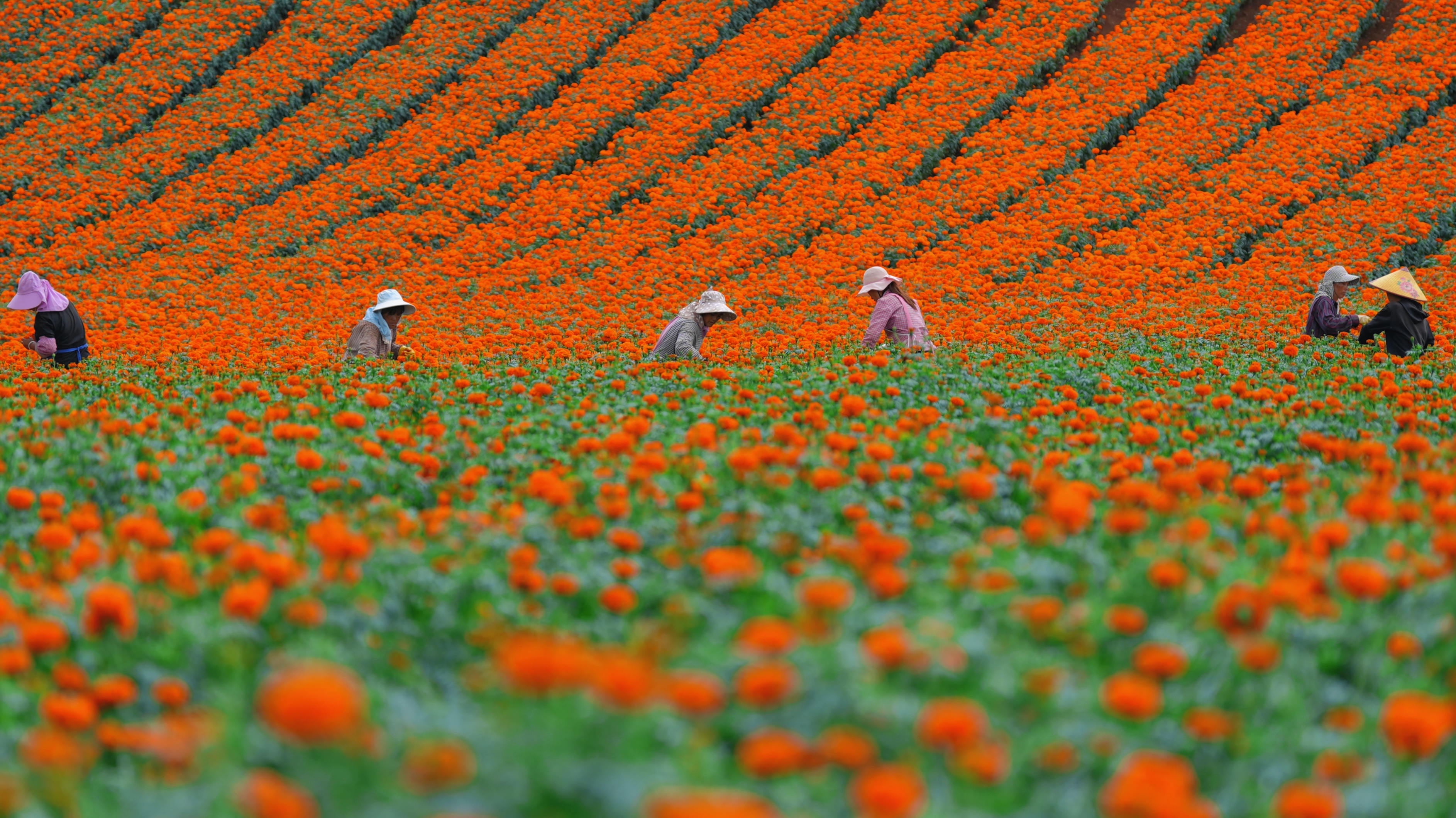 微信图片_20240813163330