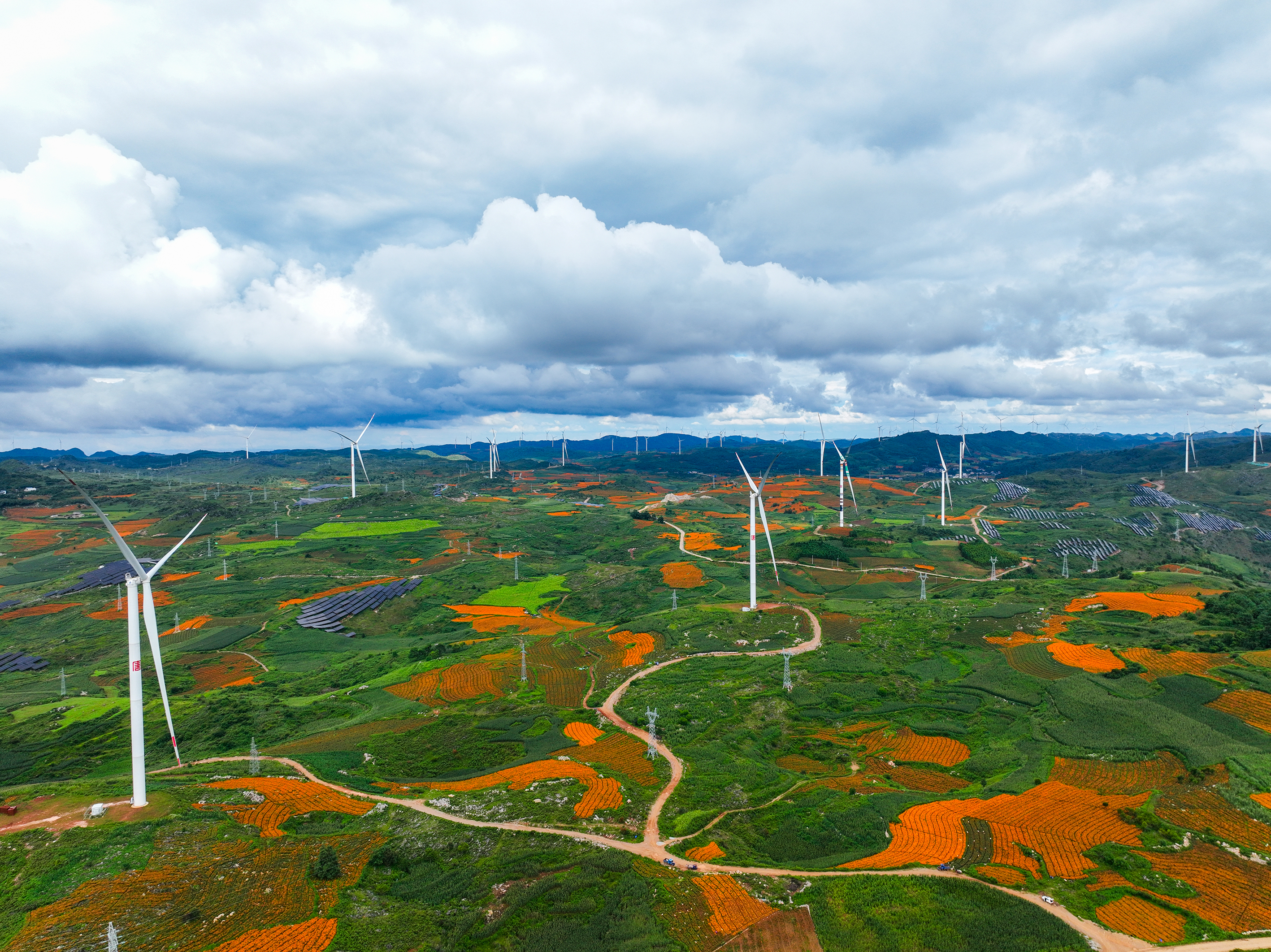 微信图片_2025-09-10_155848_310