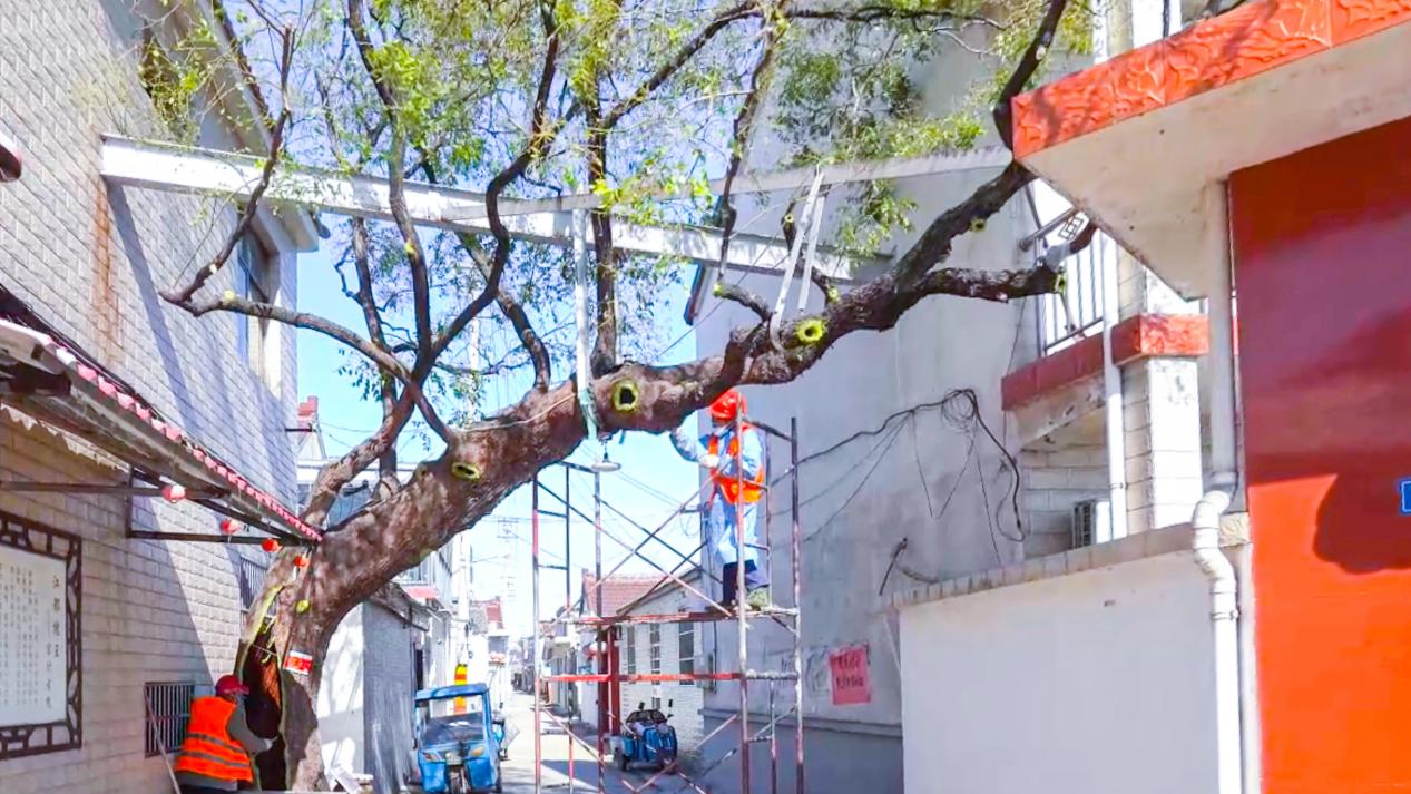 f970f357fd97f00a12cbfc427005ec0