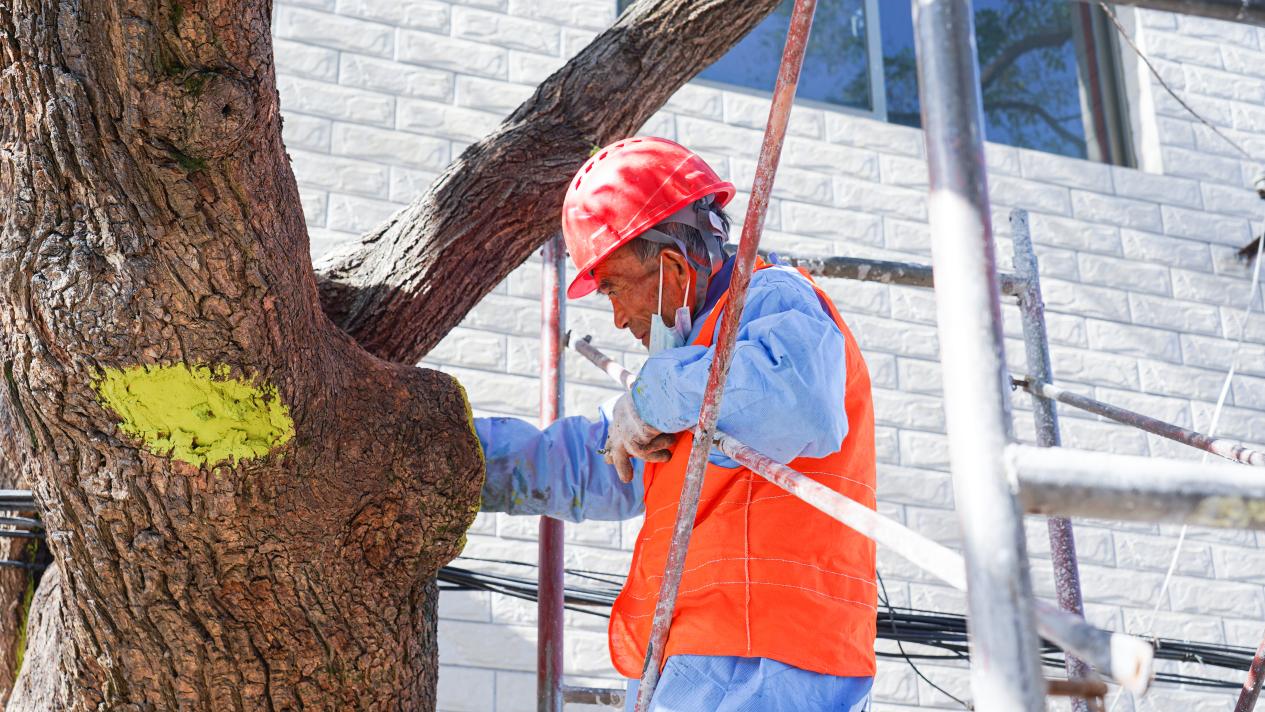 75f19c5a1d3f9ae4ee25a90a793ed80