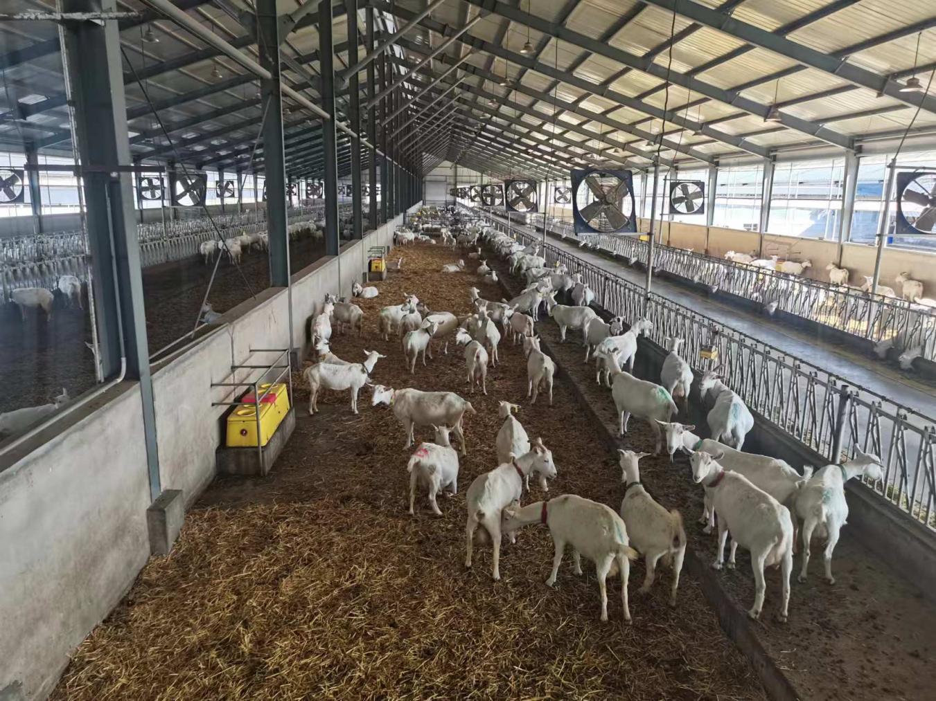 704046bdfcb74340f713ac1486f0113