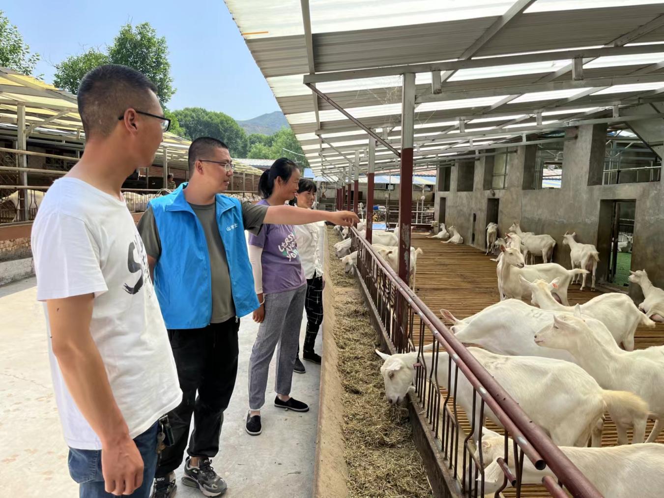 c29af1f843017e8d10a68637d7430d3