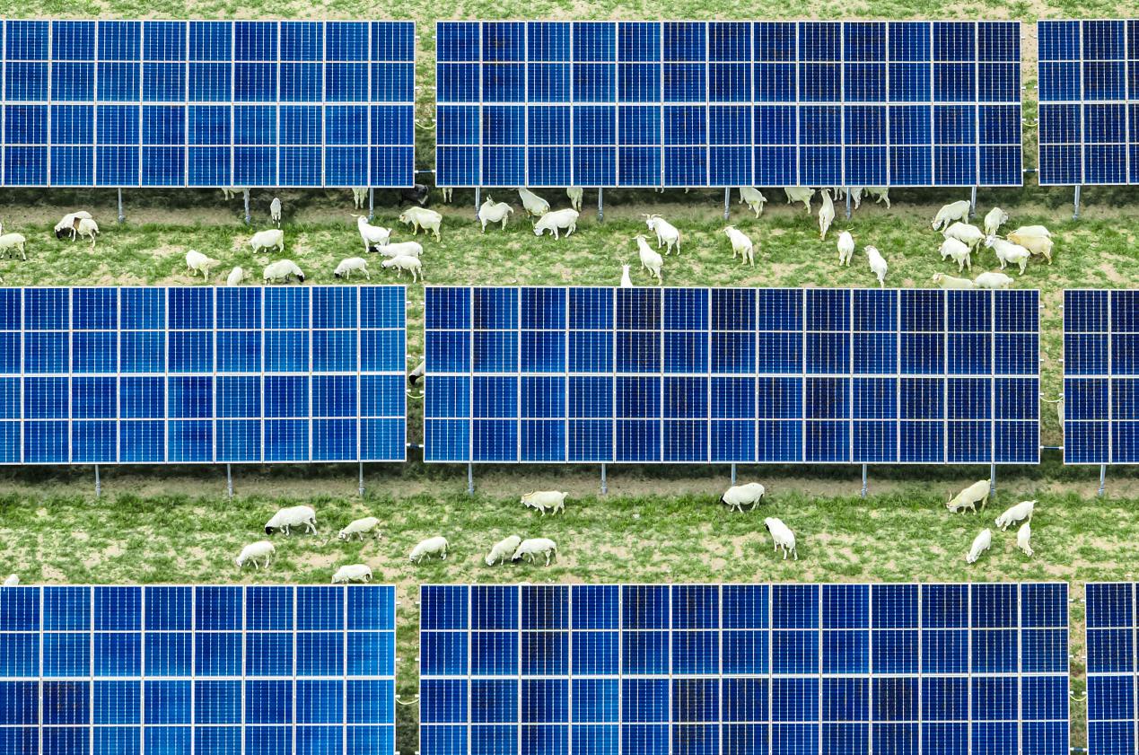 微信图片_20251125151830