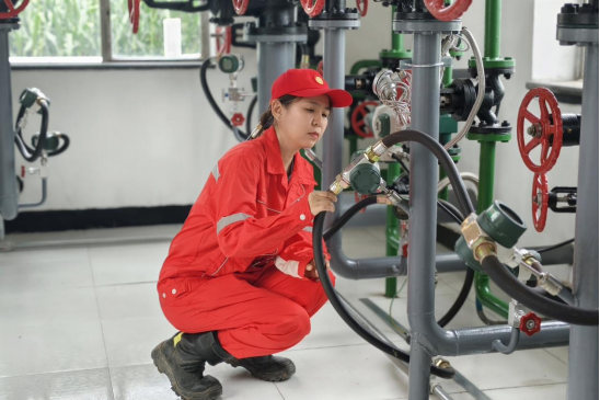 clipbord_1762313798808