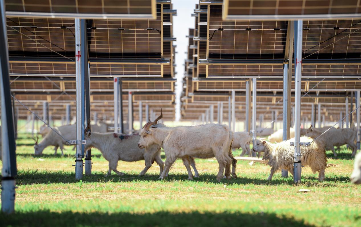 微信图片_20251125151835