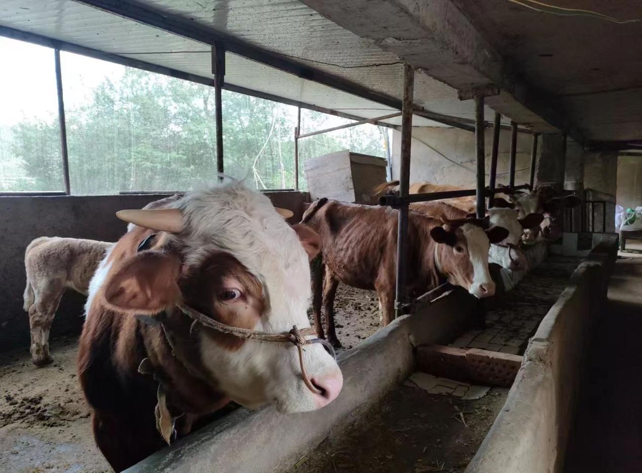 微信图片_20251118164238_10_4