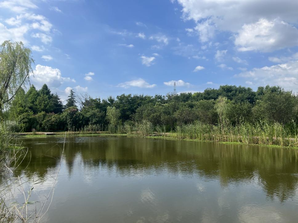 5b548b362ed456620108550edebd1a2e