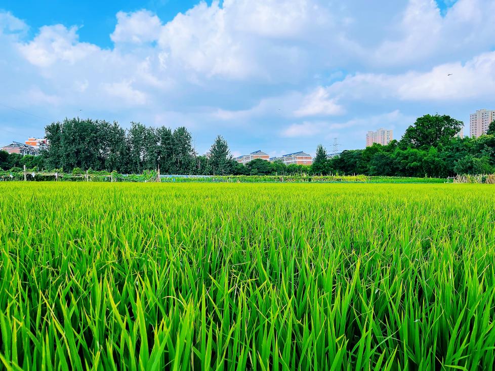 78d748b6e031a2d5fe44e40f8c1ccfd4