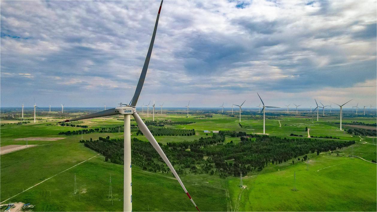 559db64b70024dcbbc4853cd8113e71