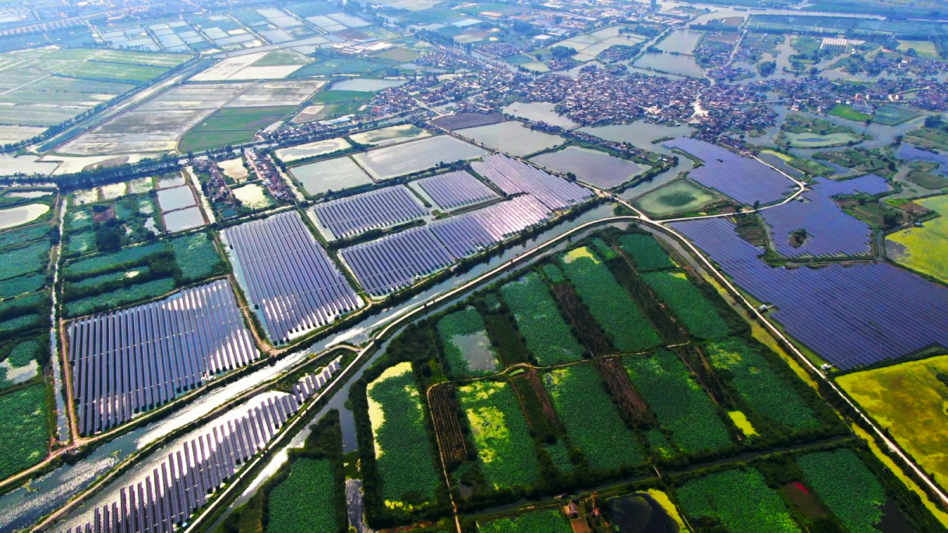 微信图片_20250728151249