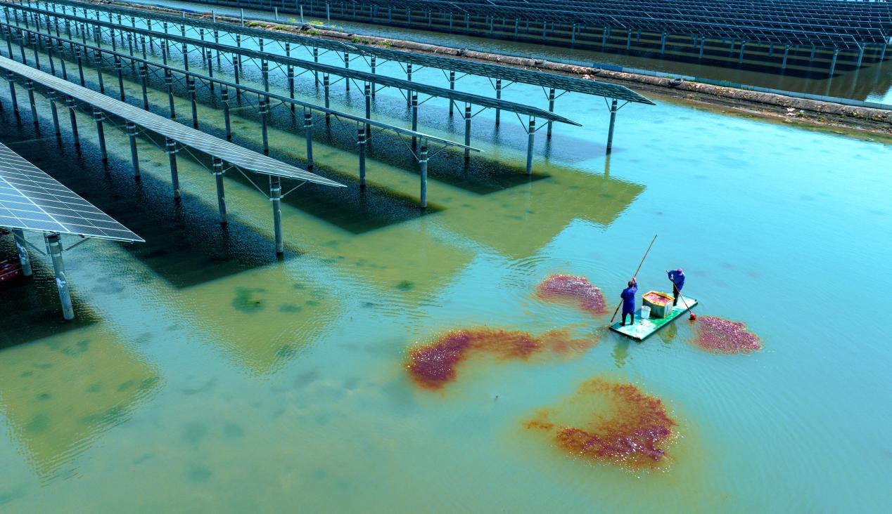 322b63651383ee187d76ffdd8f5dd876