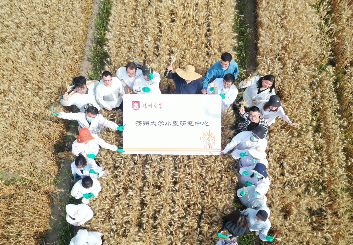 C:/Users/33726/Desktop/图片3.png图片3