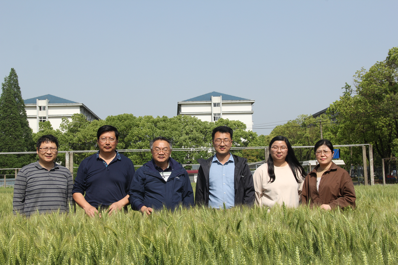 C:/Users/33726/Desktop/图片2.png图片2