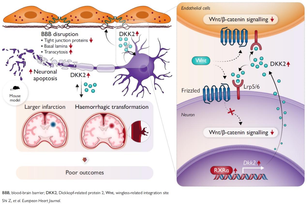 图示AI 生成的内容可能不正确。