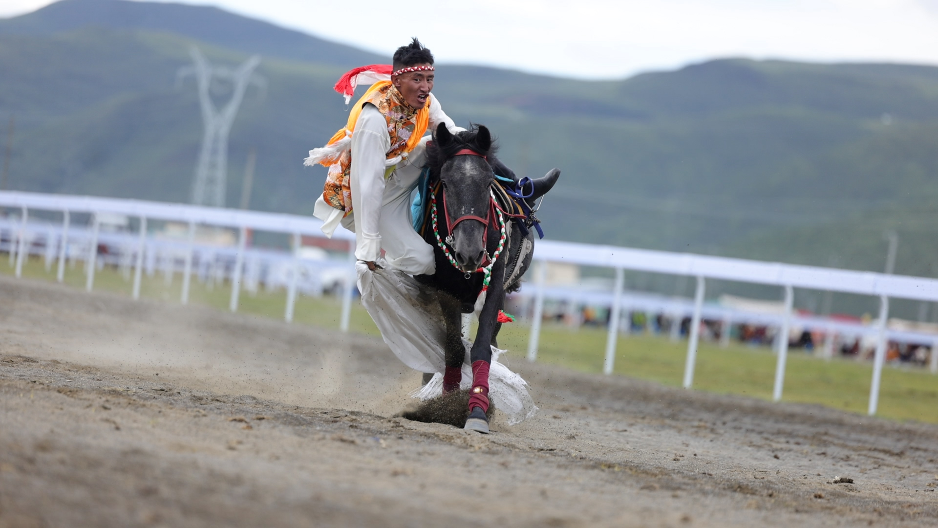“格萨尔杯”赛马会4