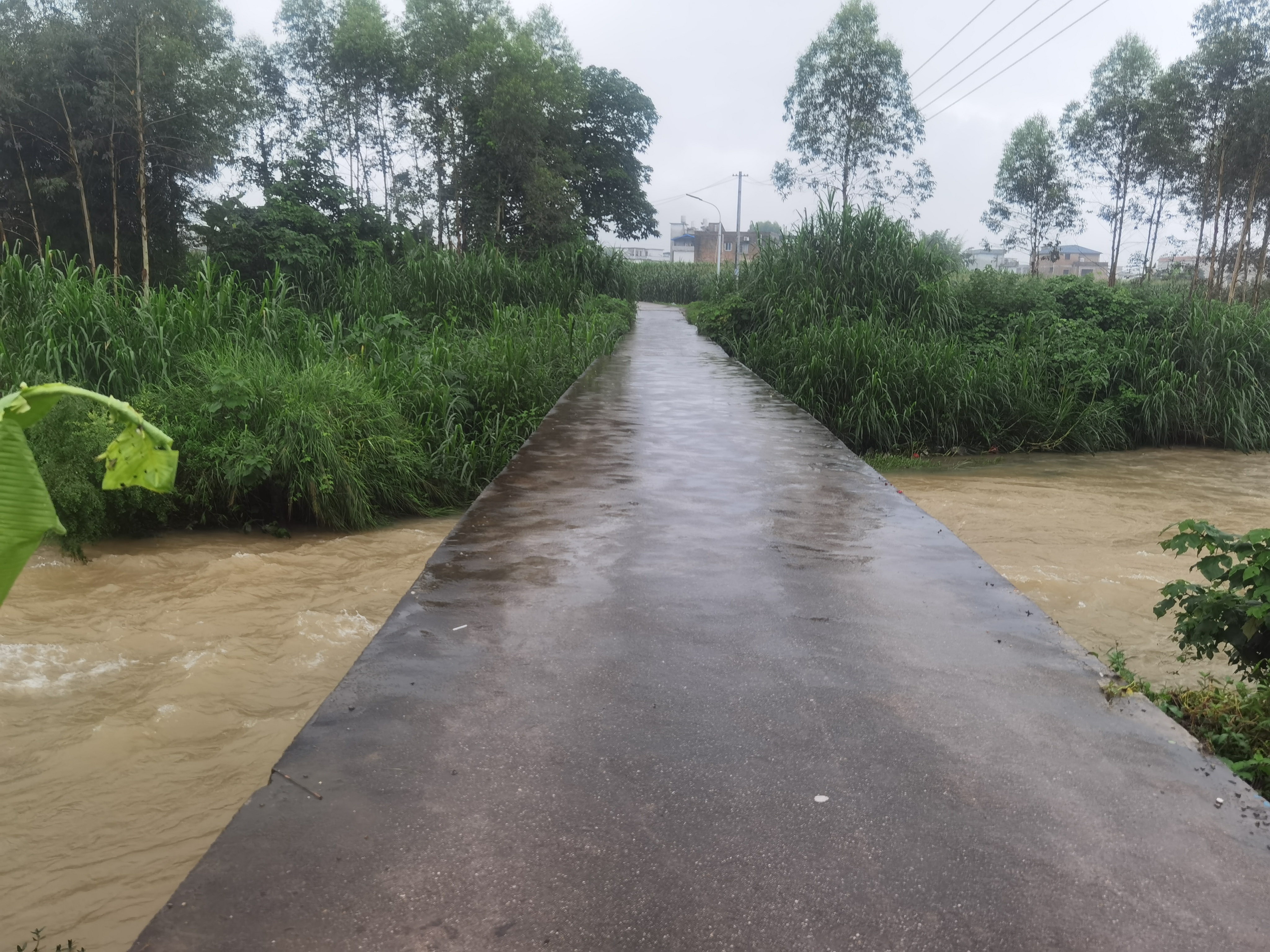 0a54c72b68a288e11f4b0e8f9a6cf736