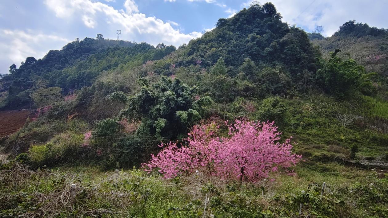 8d4b5992db9ce02163da4d263c991e23