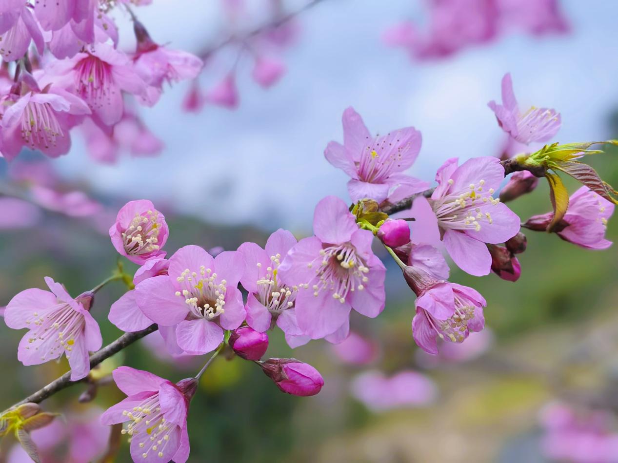 72c2745e0f4dbb0c900b5f266469e2eb