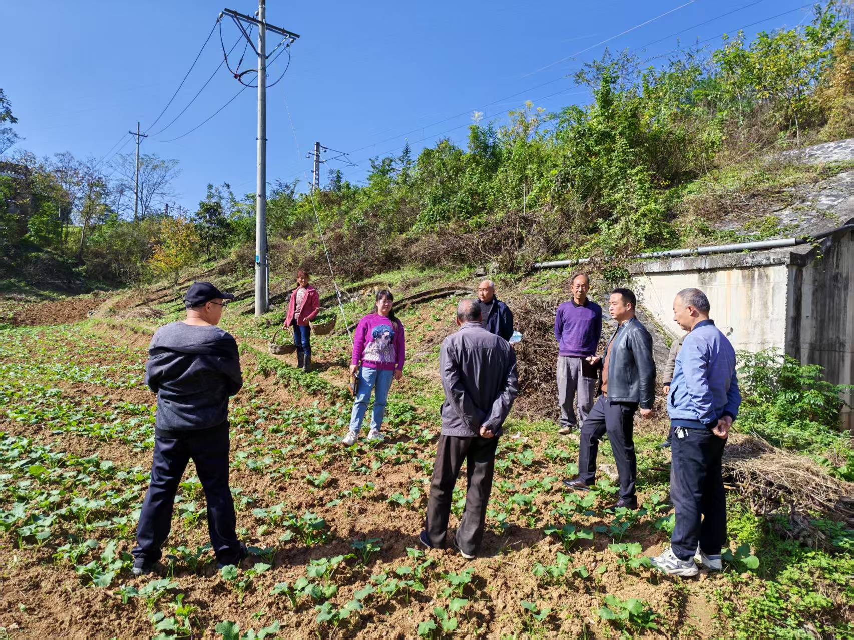 微信图片_20251115213608