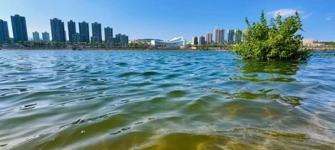 微信图片_20251115213350