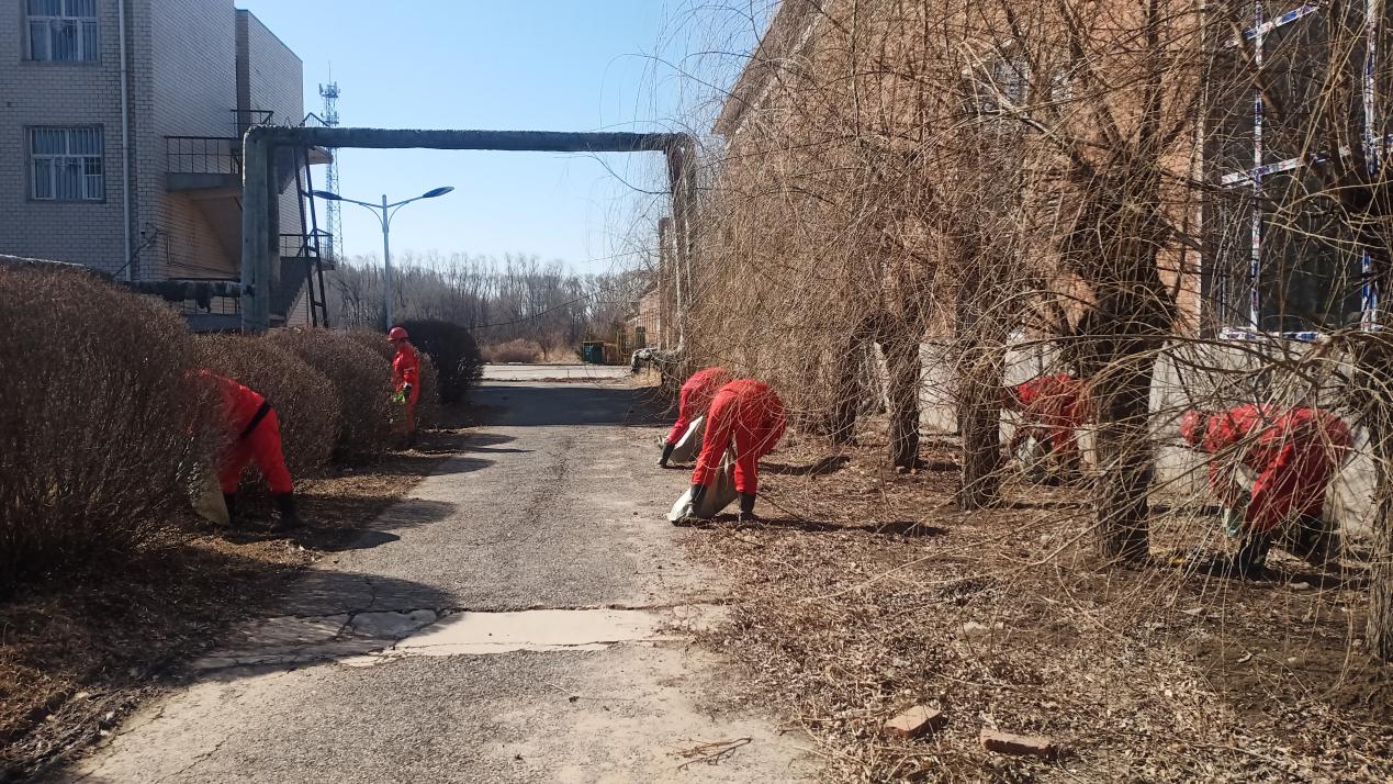 IMG_20240409_084607(1)