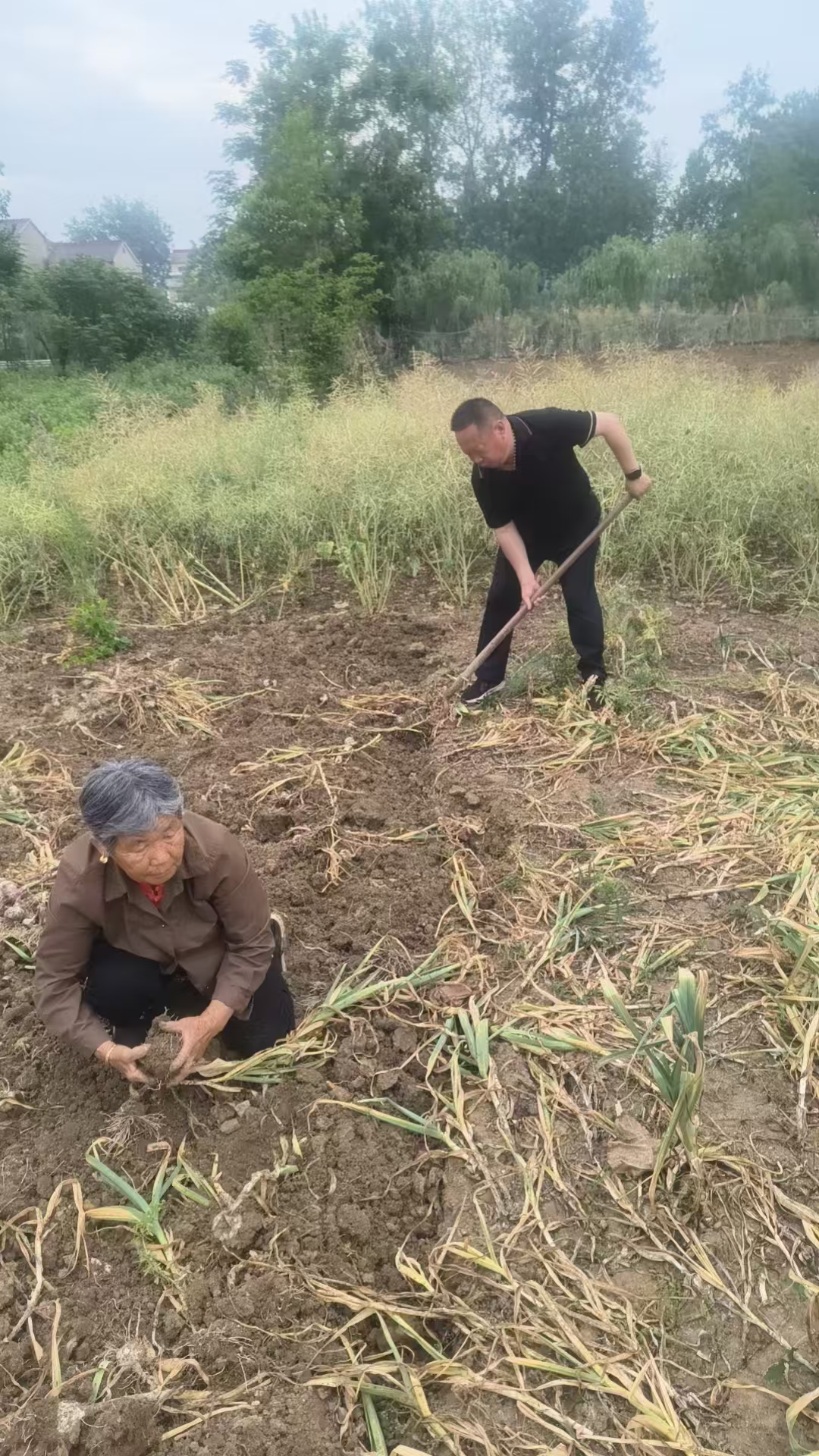 微信图片_20250516020141