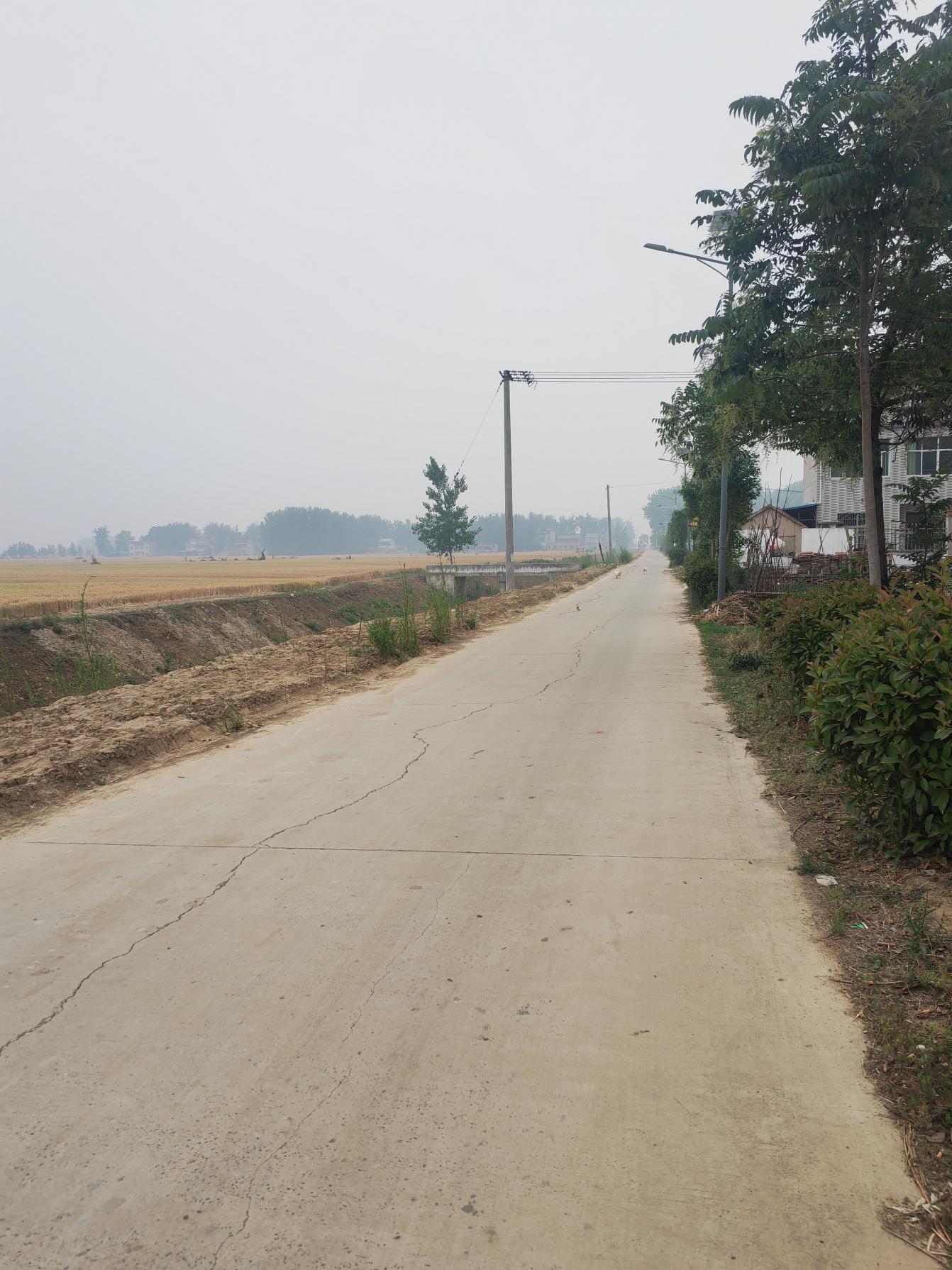 41ff3119ed60358b232972b7960bc7ba