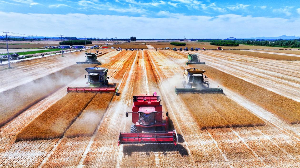 微信图片_2026-01-14_104637_908