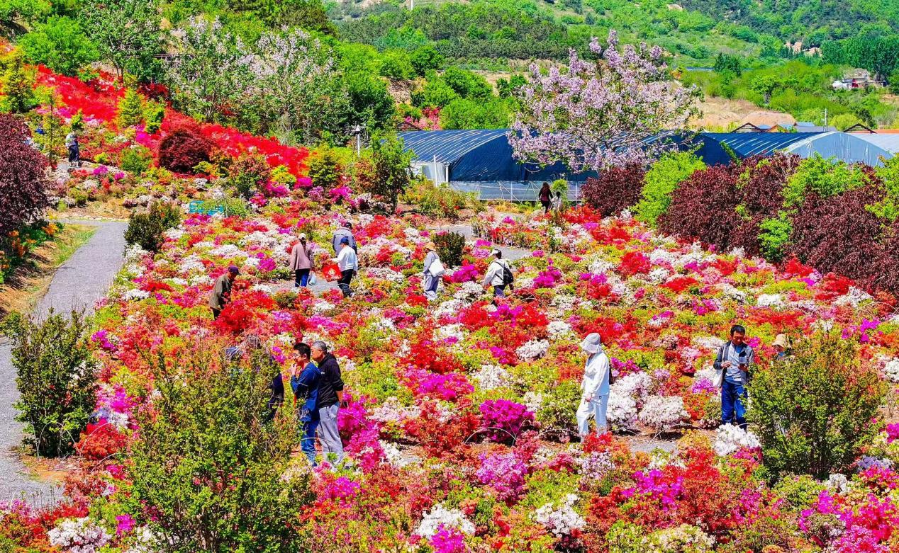 15f699d8569f862a3b4da26ab088be50