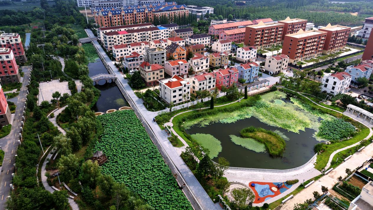 106A83a636bf48A39b6558c072dd918e