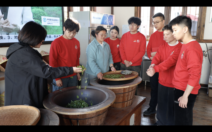 微信图片_20260119223807_10395_277