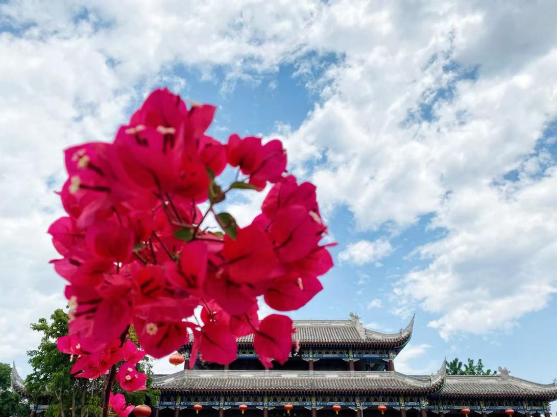 4c3ff846cecb76096f3ccdf959a713ab