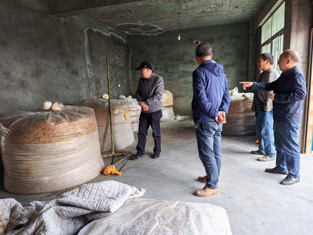 tmp_a1c12b3c2f13349b3a702dc2d9f146e183e4313c245aa341