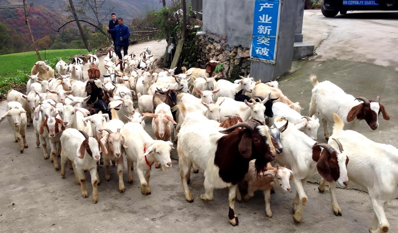 tmp_431c8993557ce6d674a69e75b4663a0fc58ff5cbcce36a3b