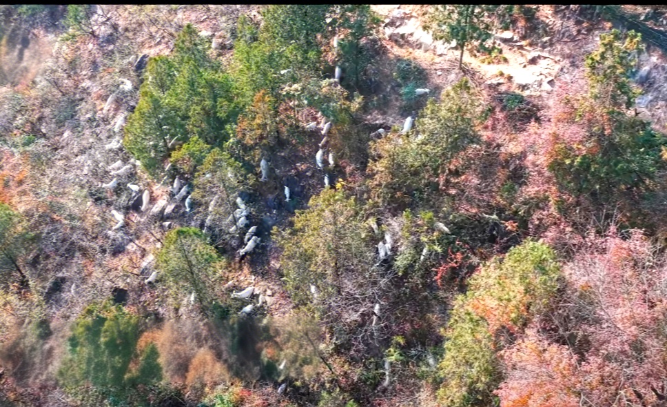 tmp_2e02166be12f86e8b4bdc2ac0f032cc68f3a60a18393024e