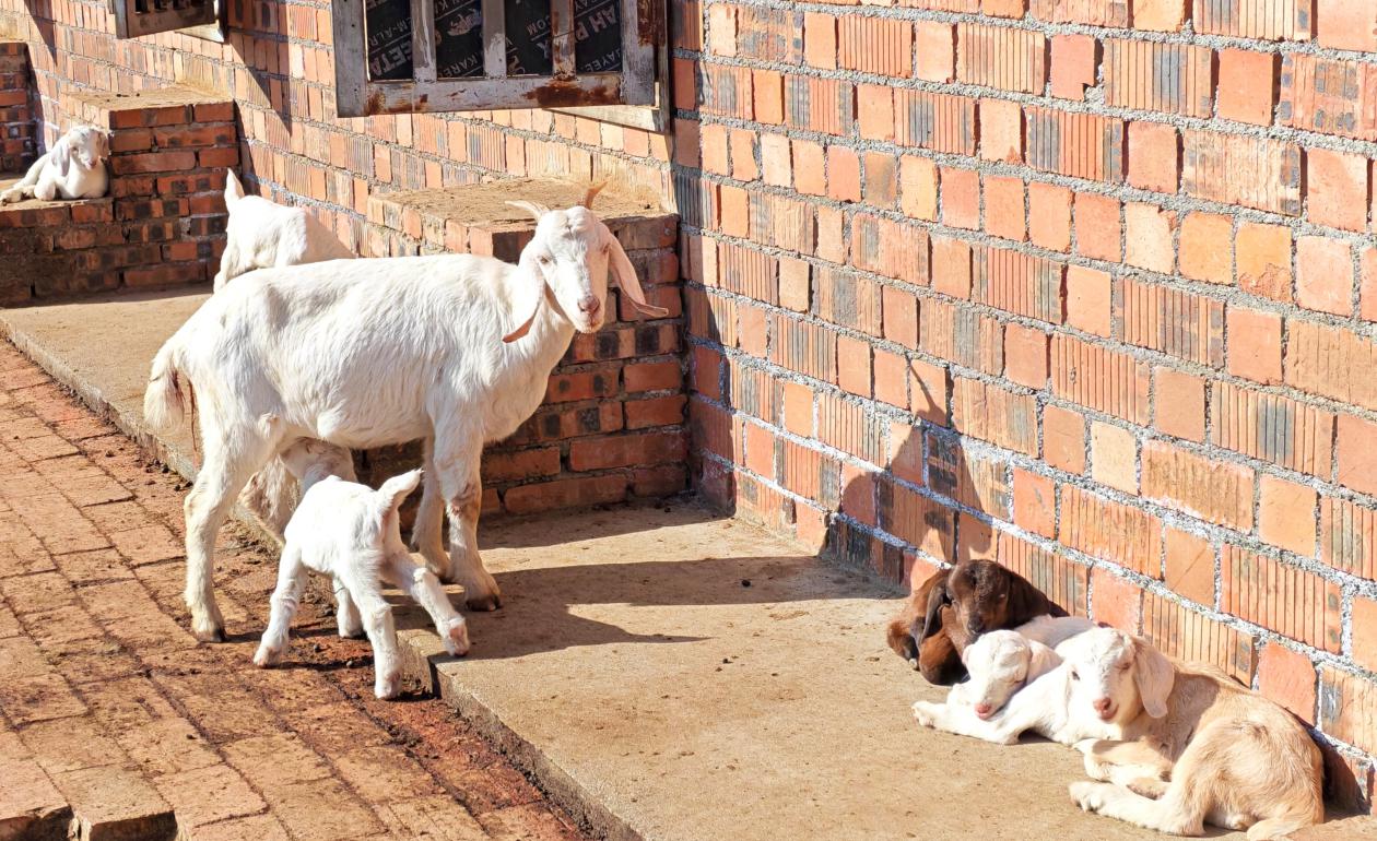 tmp_9a8b96ec8917f51ec10350a42b65ef00cdb5f226c8f9f258