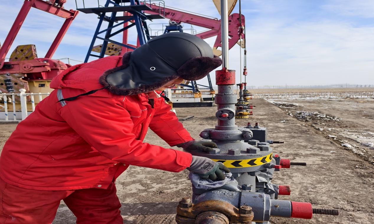 IMG_20260106_102847(1)