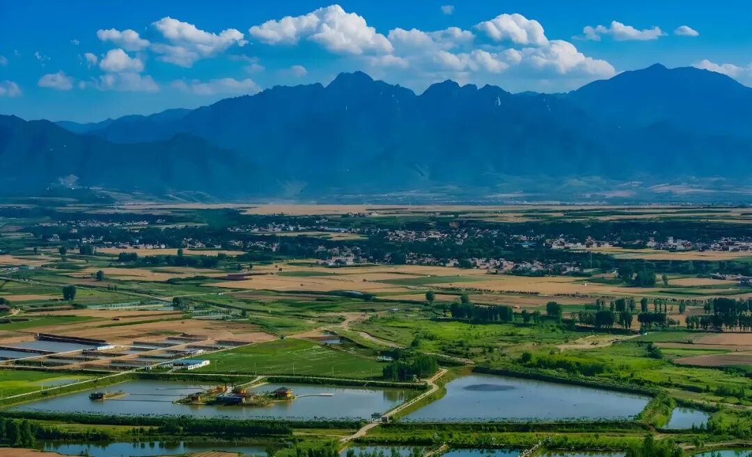 70f6bd07a571fe71cfbf5f2cda11cdb6