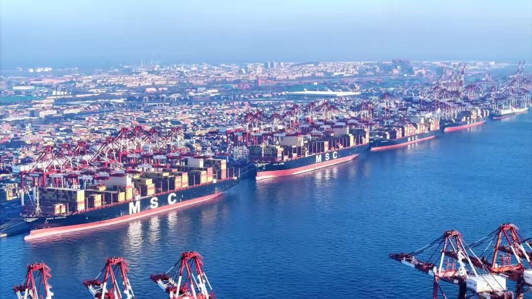 微信图片_20260219173110_446_14