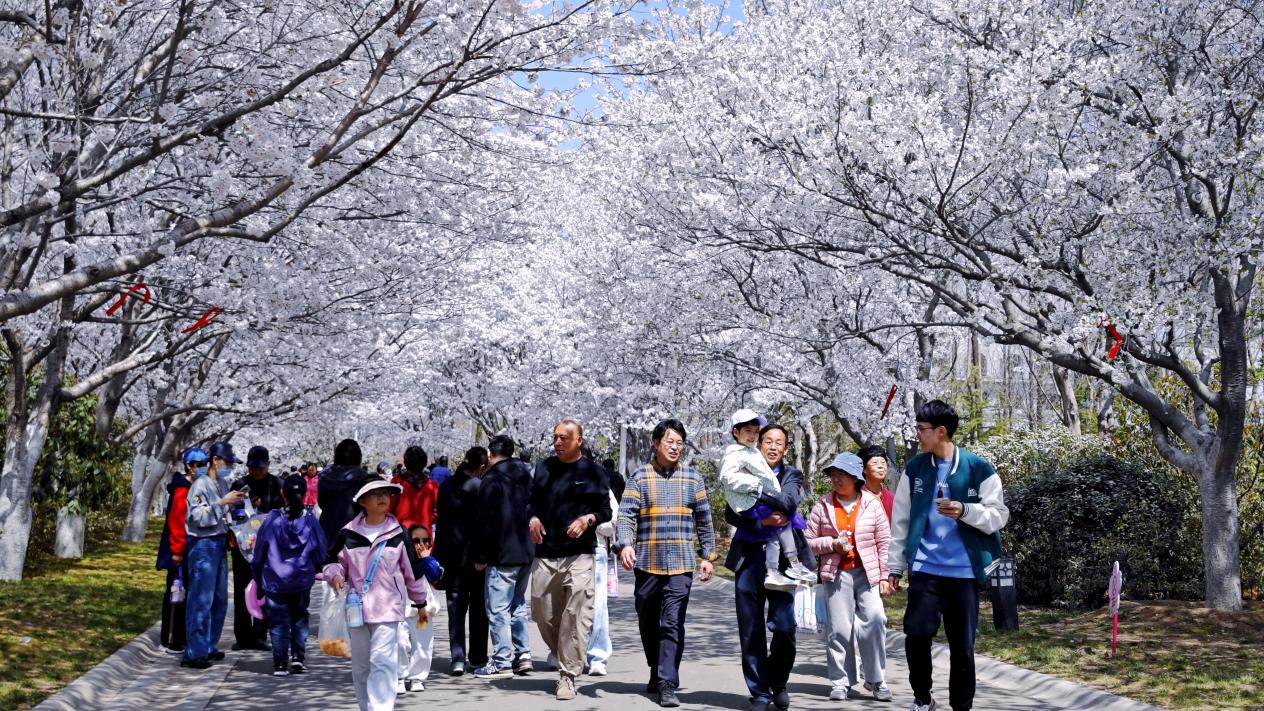 微信图片_20260303162121_40_3503