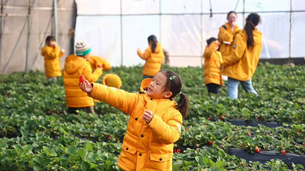 微信图片_20260303161636_30_3503