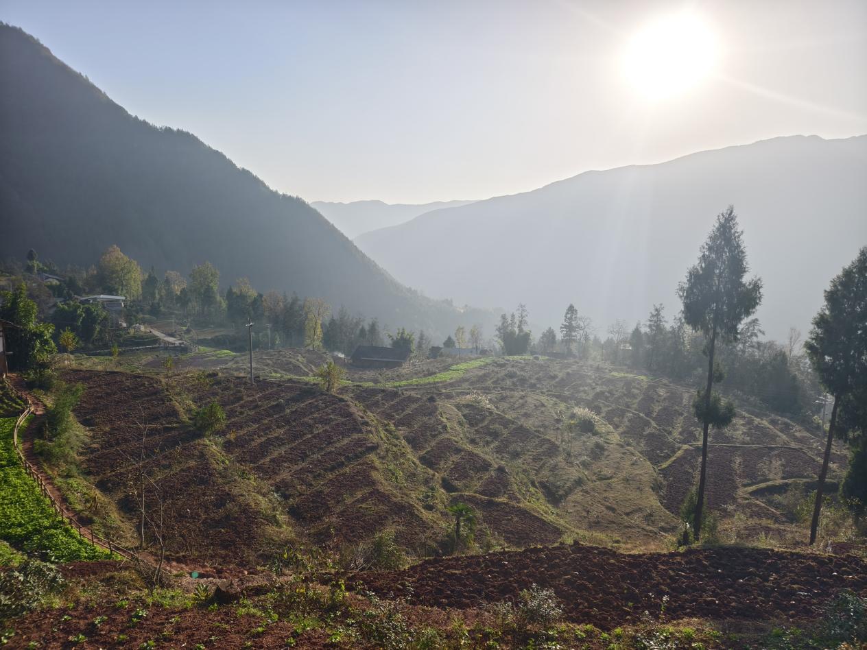 750af21ffe3d3e77530fa92dfec28ff8