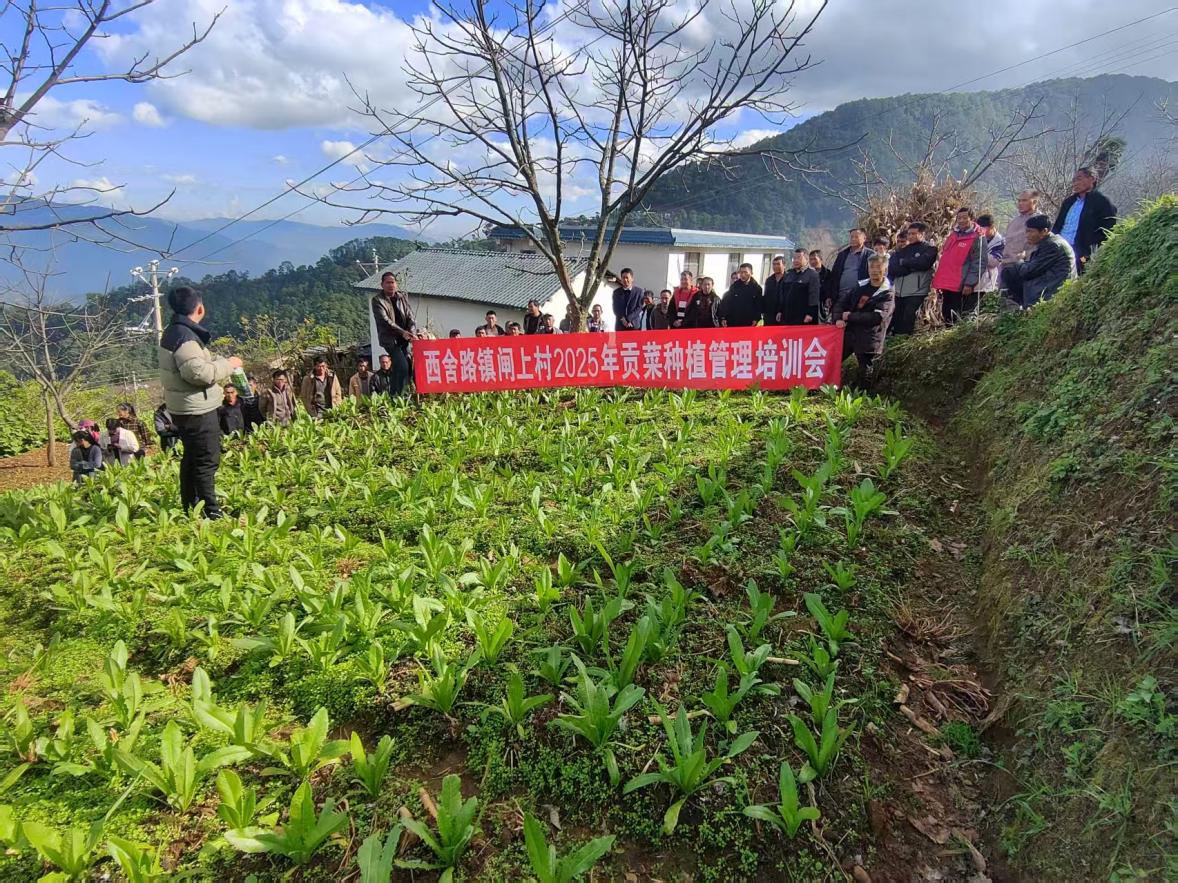 eda966ab54ca65bfd98c94910b89f65