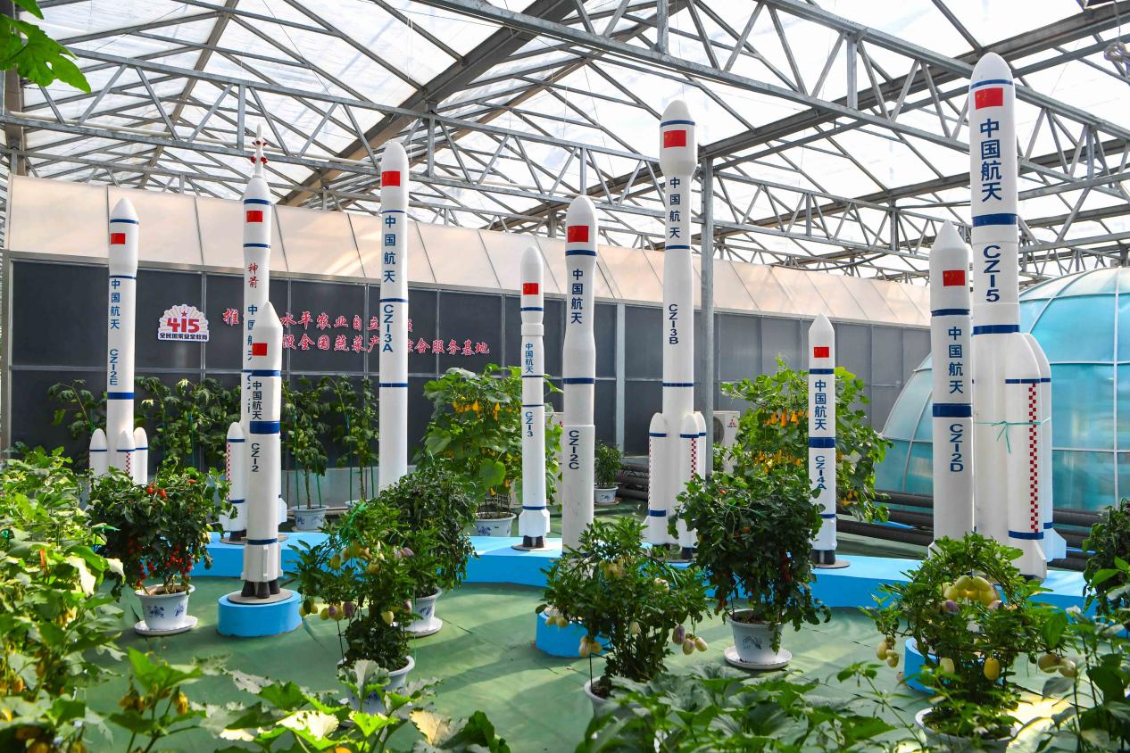 菜博会航天育种展区